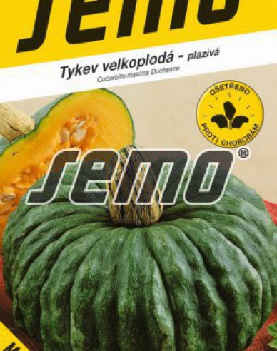 Semo Tykev velkoplodá ´Marina di Chioggia´