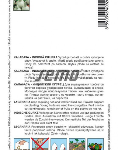 Semo Kalabasa Birdhouse Bottle