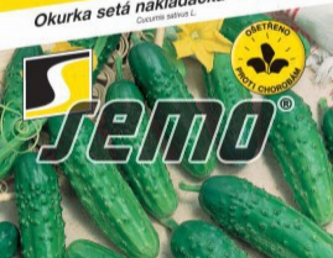 Semo Okurka setá nakládačka Regina F1 – hruboostná