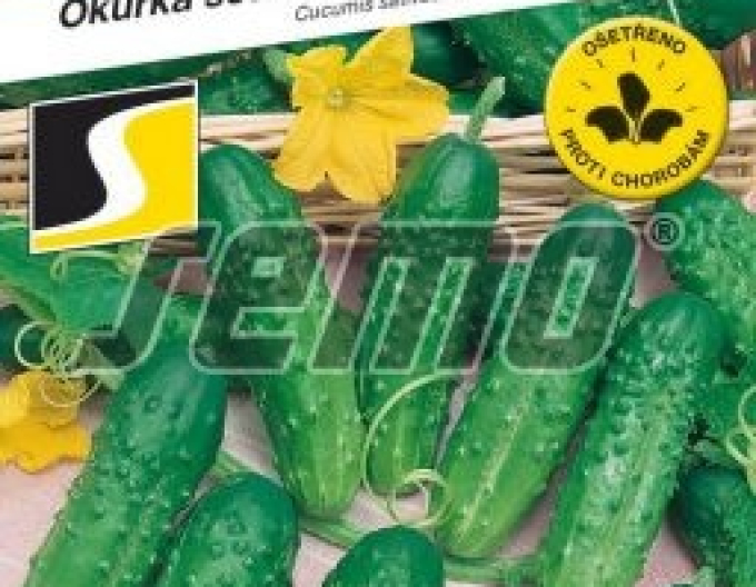 Semo Okurka setá nakládačka Nora F1- hruboostná