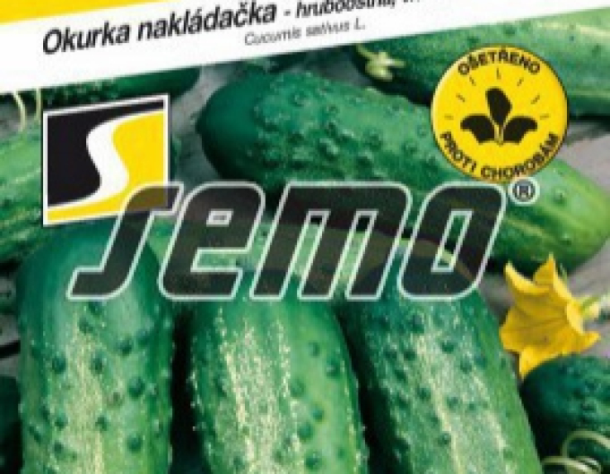 Semo Okurka setá nakládačka Iwonna F1 – hruboostná