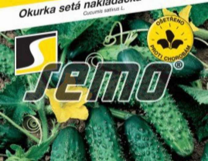 Semo Okurka setá nakládačka Chantal F1 – hruboostná