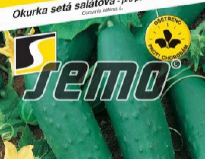 Semo Okurka setá salátová Cheer F1