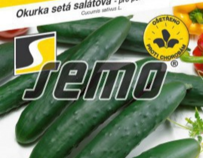 Semo Okurka setá salátová Amanda F1