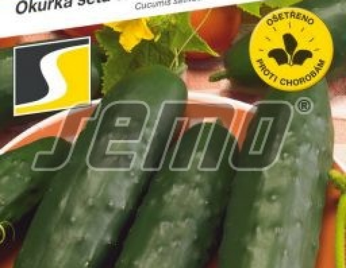 Semo Okurka setá salátová Marlen F1