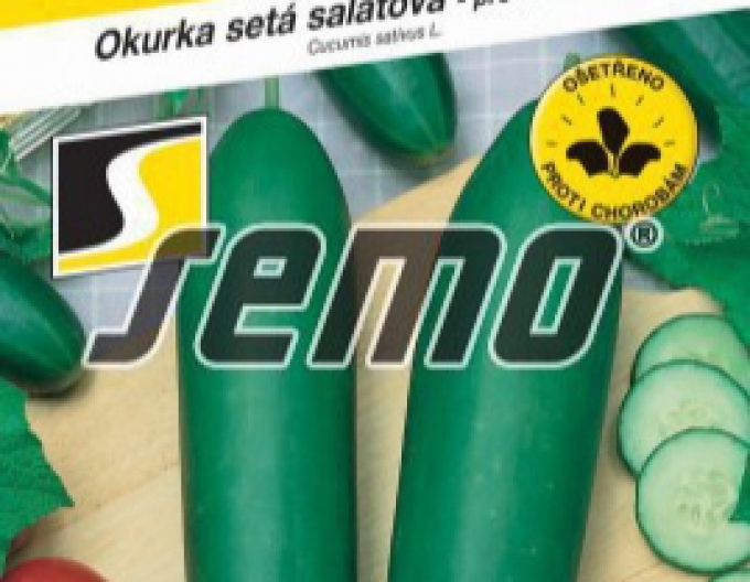 Semo Okurka setá salátová Livie F1