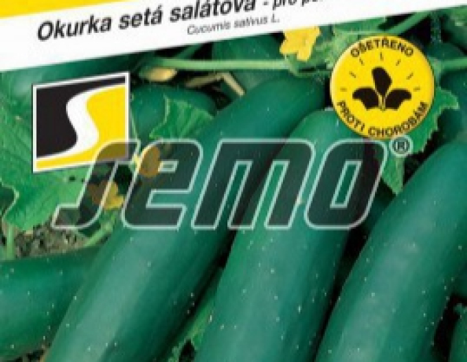 Semo Okurka setá salátová Lili F1