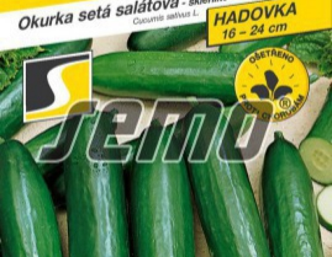 Semo okurka setá salátová ´Formule F1´
