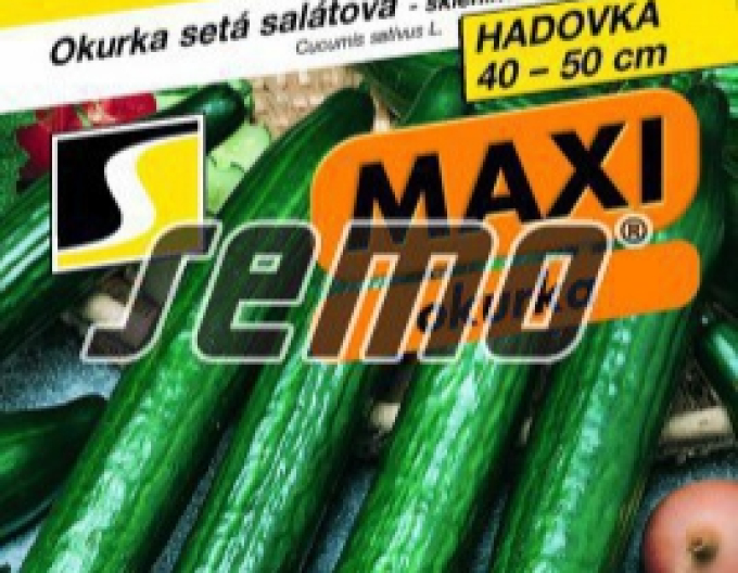 Semo Okurka setá salátová hadovka Orca F1
