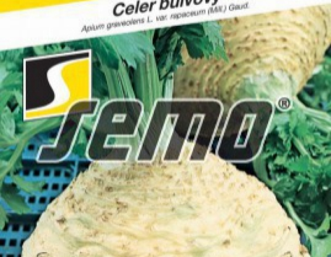 Semo Celer bulvový  ´Neon´
