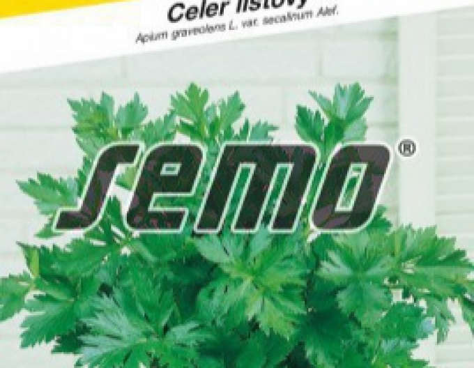 Semo Celer listový Jemný