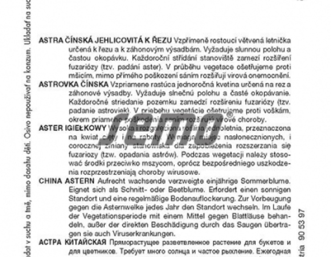 Osivo Čínská astra Red