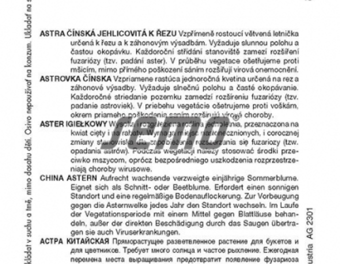 Semena čínské astery Blue