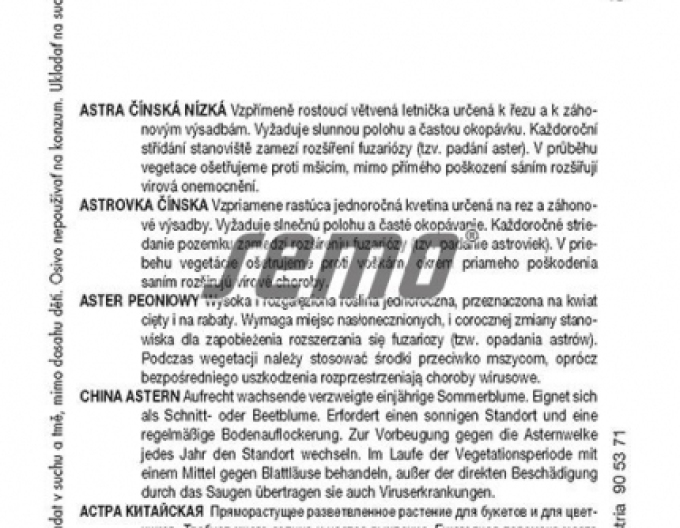Semo Astra čínská Pivoine