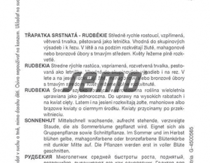 Semo Třapatka srstnatá (rudbékie) Gloria Daisy