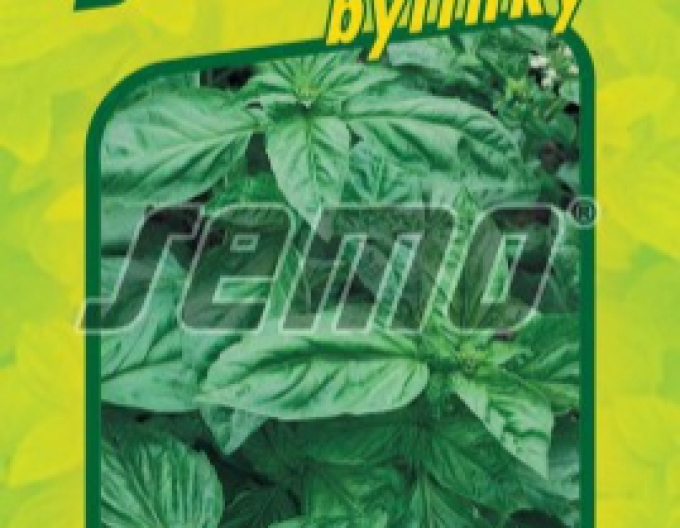 Semo bazalka pravá ´Dark Green´