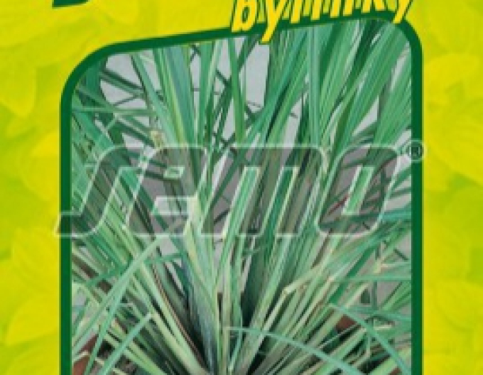 Semo Lemongrass