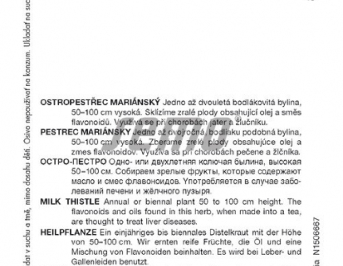 Semo Ostropestřec mariánský