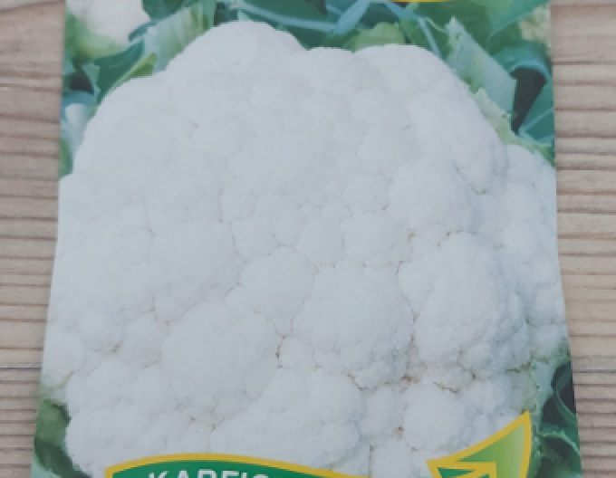 Zelseed Květák ´Snow Lady´