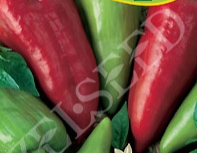 Zelseed Paprika roční ´Bojanka´
