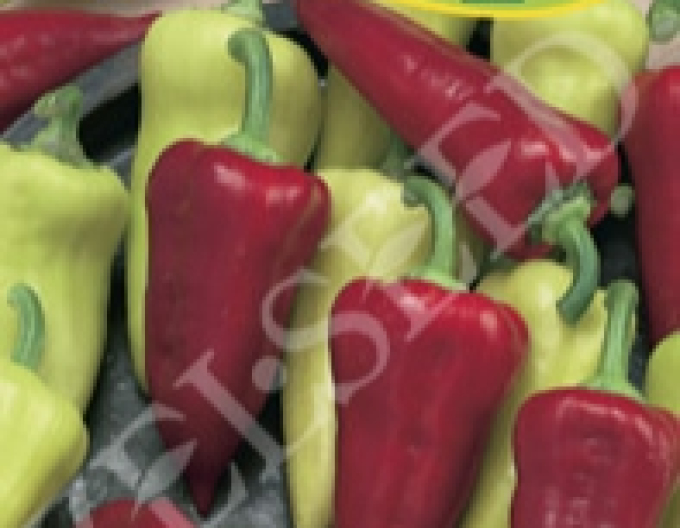 Zelseed Paprika roční Viki Zel