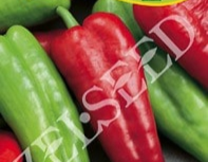Zelseed Paprika roční ´Derma´