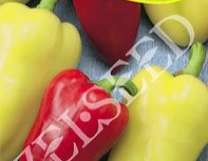 Zelseed Paprika roční ´Tosinka´