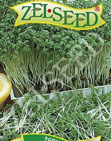 Zelseed Řeřicha zahradní Dánská