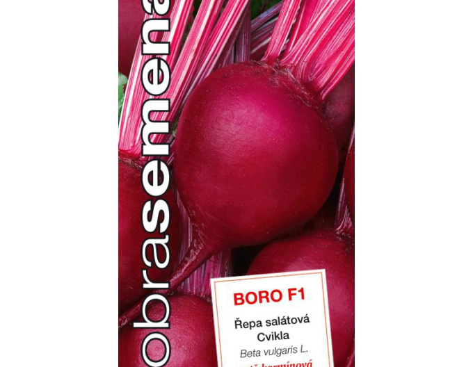 Dobrá semena Červená řepa kulatá `Boro F1´