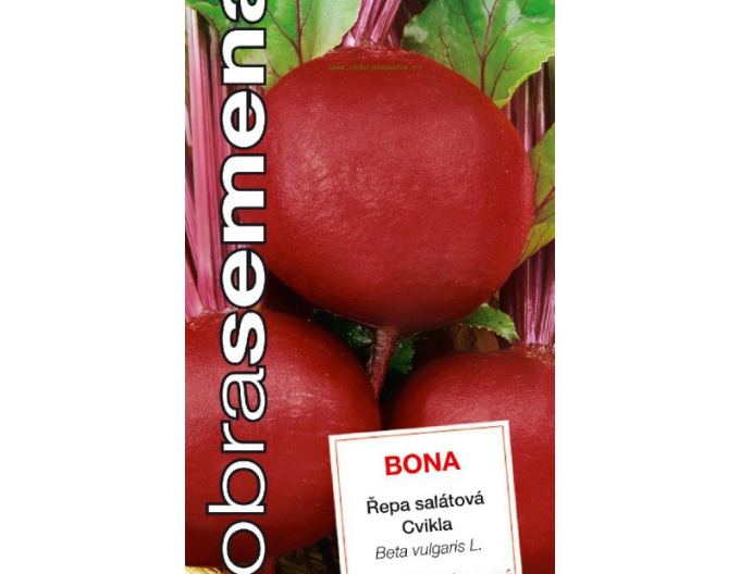 Dobrá semena Červená řepa Bona