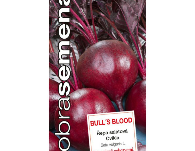 Dobrá semena Červená řepa kulatá ´Bull´s Blood´