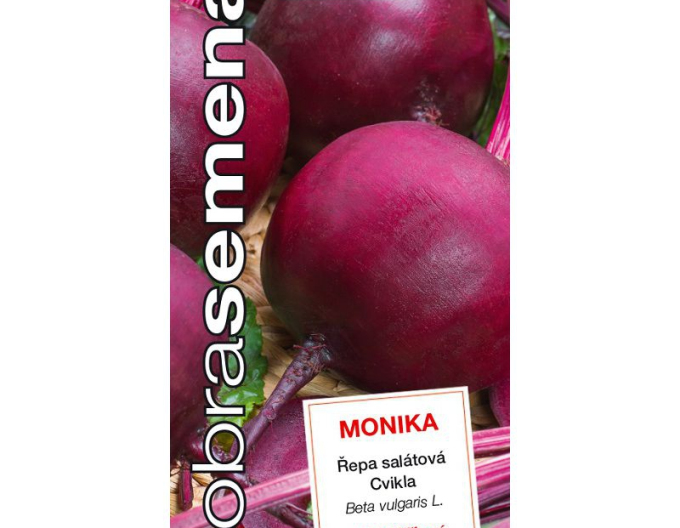 Dobrá semena Červená řepa Monika