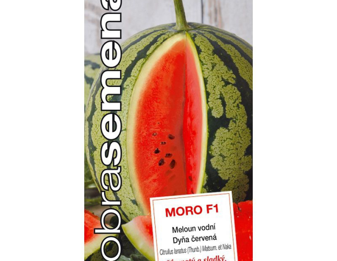 Dobrá semena Červená dýně ´Moro F1´