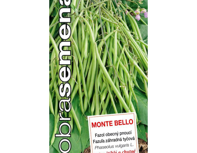 Dobrá semena Zahradní fazole pnoucí Monte Bello