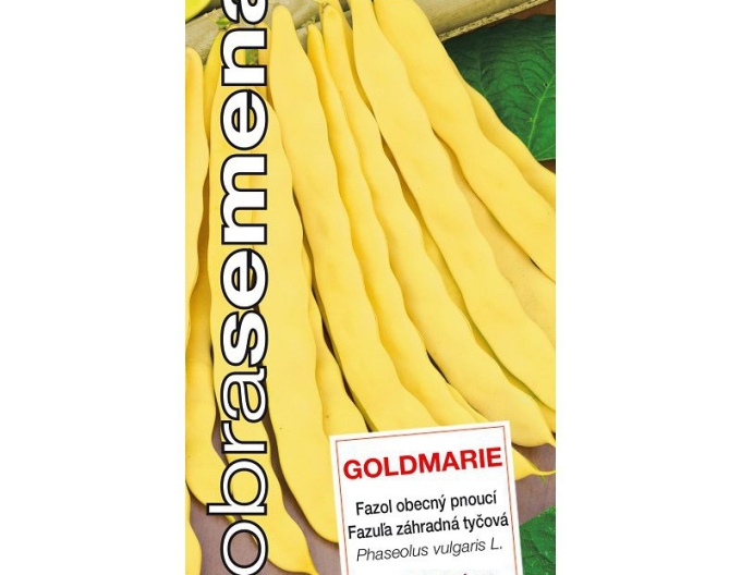 Dobrá semena Zahradní tyčkové fazole Goldmarie