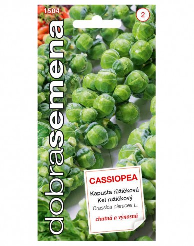 Dobrá semena Kapusta růžičková Cassiopea