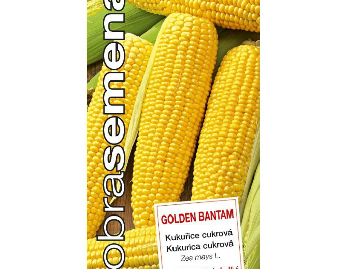 Dobrá semena Sladká kukuřice ´Golden Bantam´