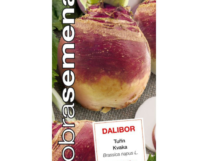 Dobrá semena Kvaka ´Dalibor´
