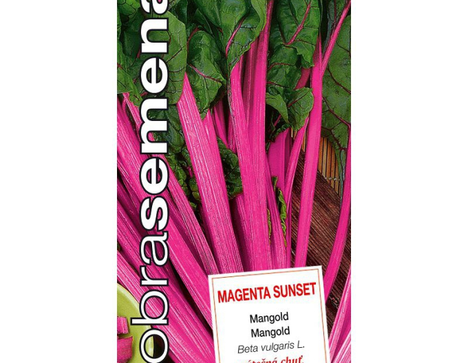 Dobrá semena Mangold Magenta Sunset