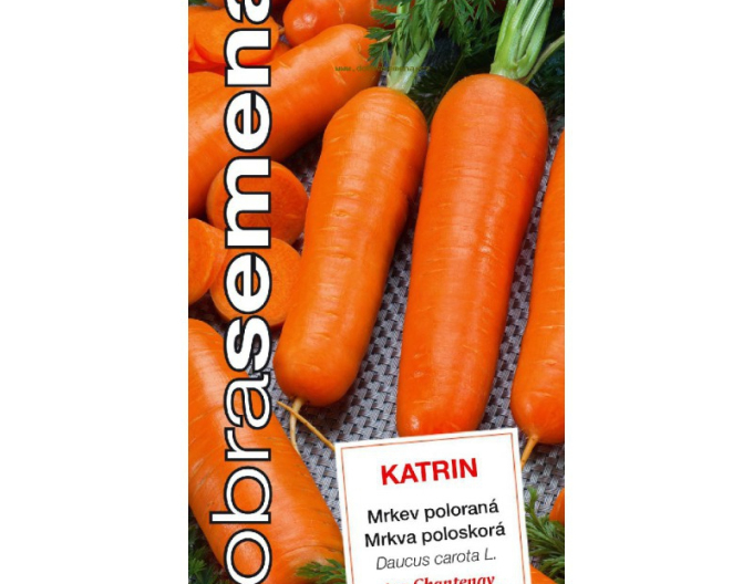 Dobrá semena Mrkev Katrin