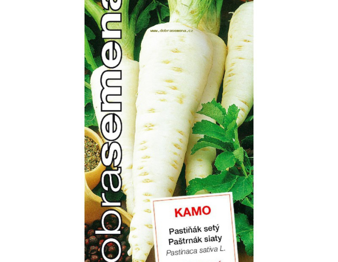 Dobrá semena Pastrnák ´Kamo´