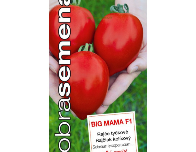 Dobrá semena Rajče tyčkové Big Mama