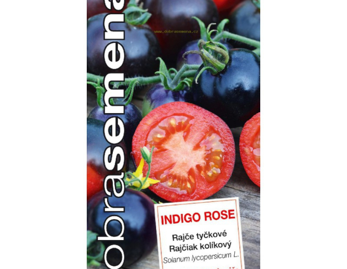 Dobrá semena Rajče tyčkové Indigo Rose