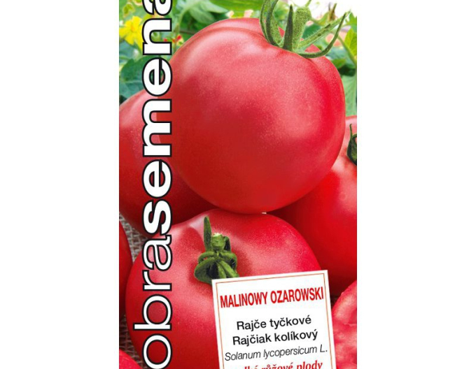 Dobrá semena Rajče Malinowy Ozarowski