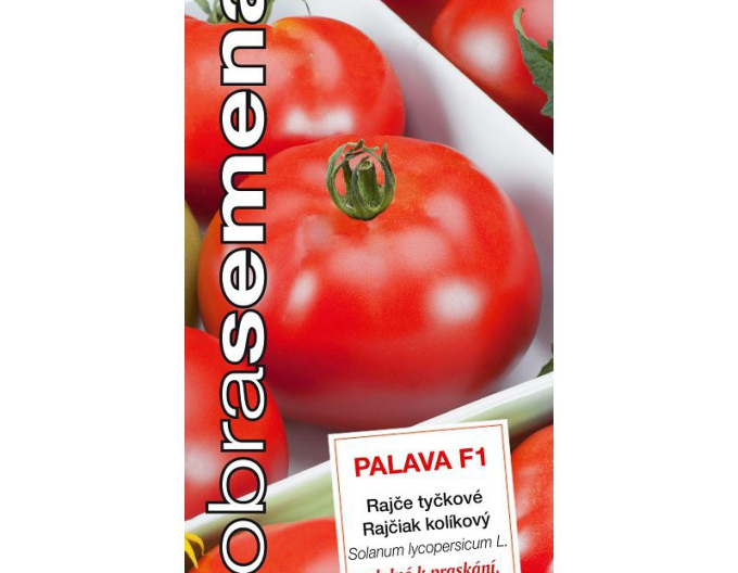 Dobrá semena Rajče tyčkové Palava F1