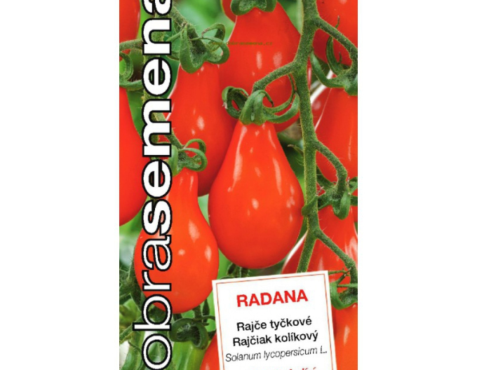 Dobrá semena Rajče tyčkové Radana