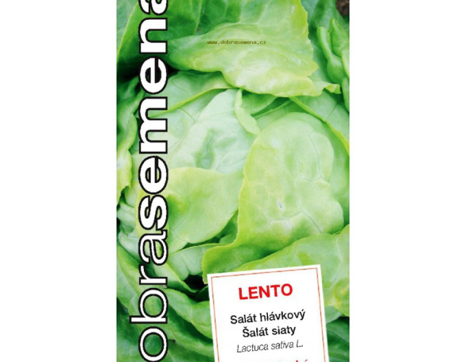 Dobrá semena Salát hlávkový ´Lento´