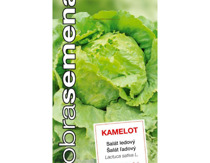 Dobrá semena Salát ledový Kamelot