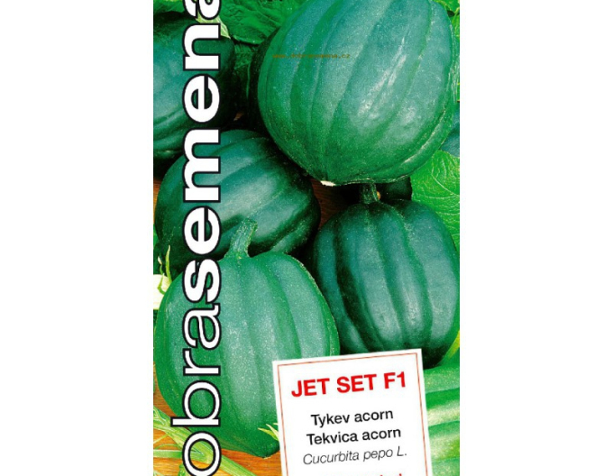 Dobrá semena Pumpkin ´Jet Set f1´