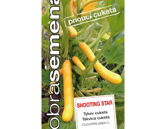 Dobrá semena Dýně cuketa Shooting Star